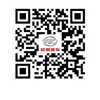 无码AV大香线蕉伊人久久