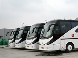 无码AV大香线蕉伊人久久