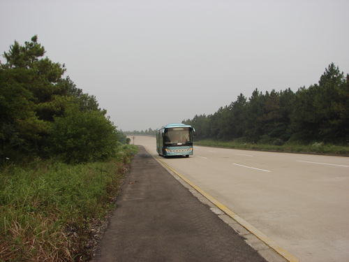 无码AV大香线蕉伊人久久