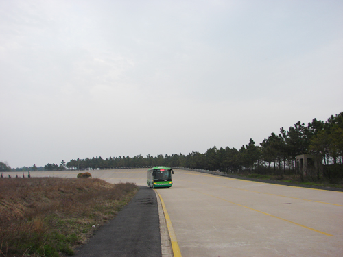 无码AV大香线蕉伊人久久