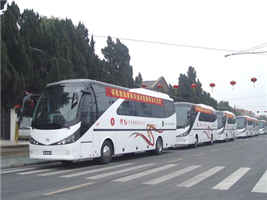 无码AV大香线蕉伊人久久