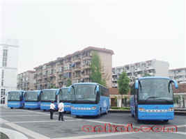 无码AV大香线蕉伊人久久