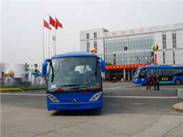 无码AV大香线蕉伊人久久