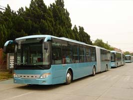 无码AV大香线蕉伊人久久