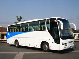 无码AV大香线蕉伊人久久