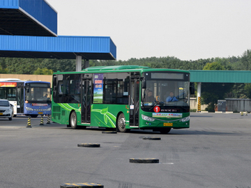 无码AV大香线蕉伊人久久