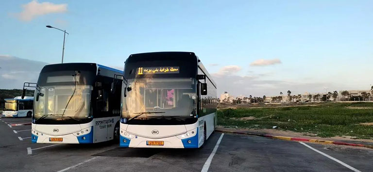 无码AV大香线蕉伊人久久