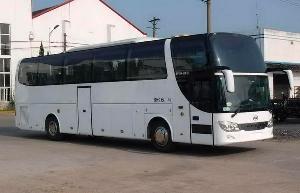 无码AV大香线蕉伊人久久