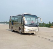 无码AV大香线蕉伊人久久