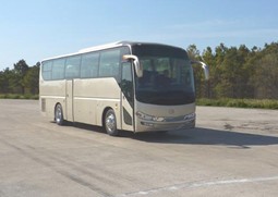 无码AV大香线蕉伊人久久