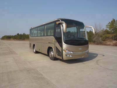 无码AV大香线蕉伊人久久