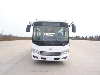 无码AV大香线蕉伊人久久