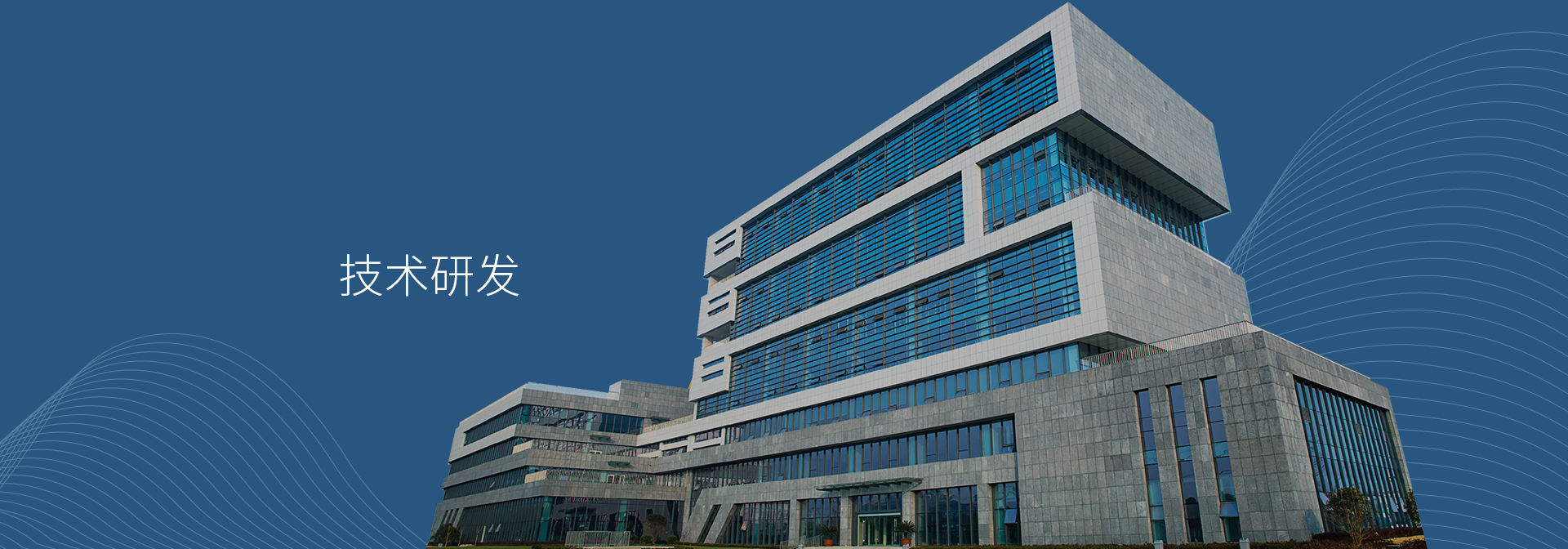 无码AV大香线蕉伊人久久