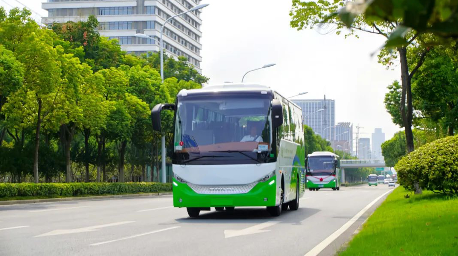 无码AV大香线蕉伊人久久