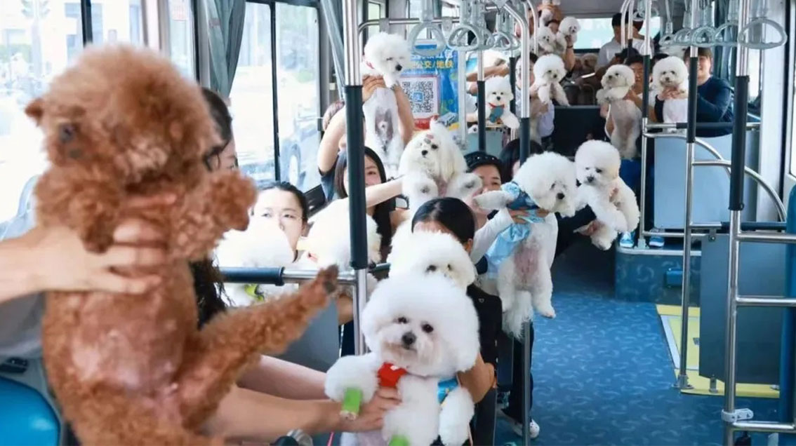 无码AV大香线蕉伊人久久